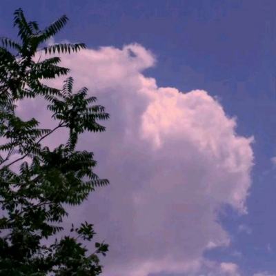 爱乐游雷霆舰队手机版下载
