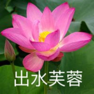 打爆飞机最新版下载